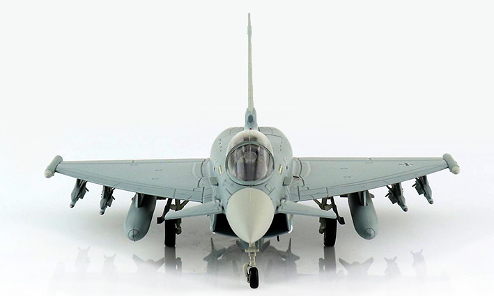 Eurofighter Typhoon EF-2000 31+17, TaktLwG 31 