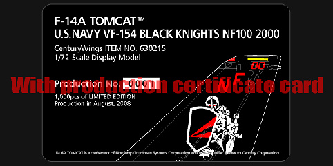 F-14A Tomcat VF-154 Black Knights, NF100, 1:72, Century Wings 
