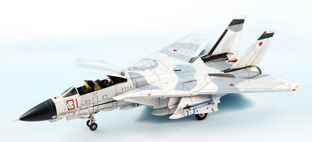 Grumman-F-14A-Red-31-Tomcatsky