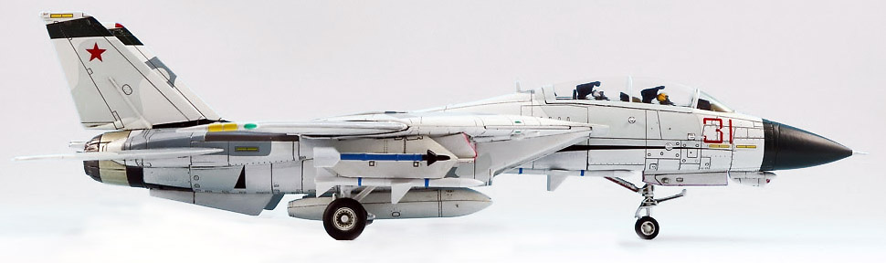 Grumman F-14A Red 31 Tomcatsky, 1:72, Calibre Wings CA72TP01-W