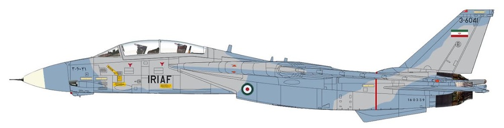 Grumman F-14A Tomcat 160339/3-6041, IRIAF, TFB 8 Khatami, 2003, 1:72, Hobby Master 