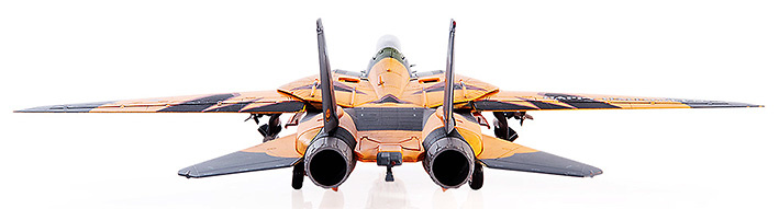 Grumman F14D Tomcat Ace Combat, 