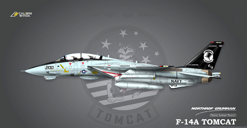 Grumman F-14A Tomcat VF-14 Tophatters, BuNo 162698, 1:72