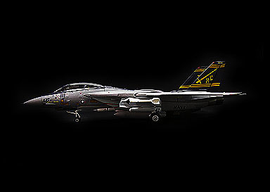 F-14 Tomcat, VF-32 Swordsman Cag Bird, 1:72, Witty Wings 