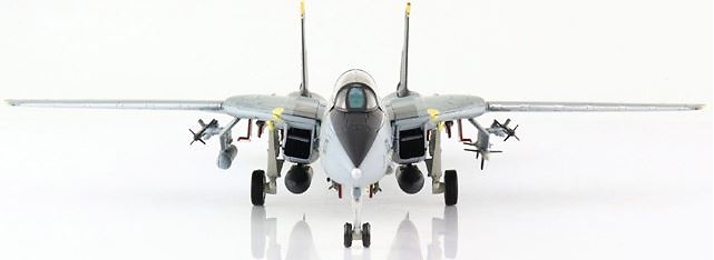 Grumman F-14D Tomcat , VF-213 Black Lions, 