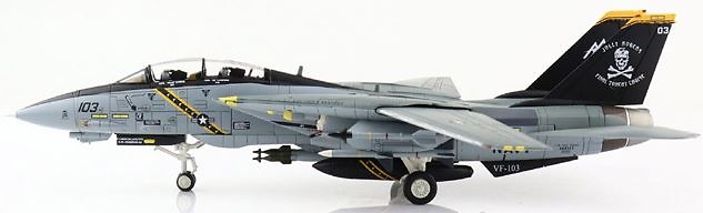 Grumman F-14D Tomcat , VF-213 Black Lions, 