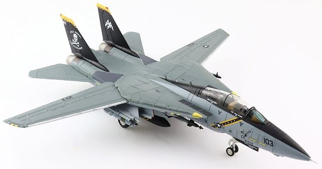 Grumman F-14D Tomcat , VF-213 Black Lions, 