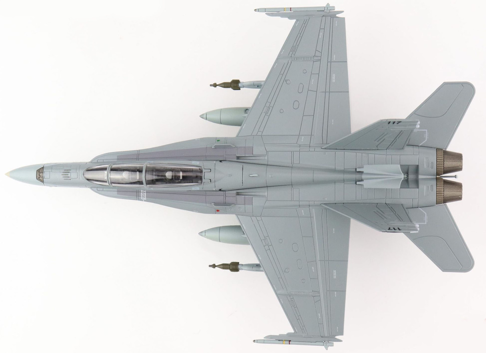 McDonnell Douglas F/A-18B Hornet 