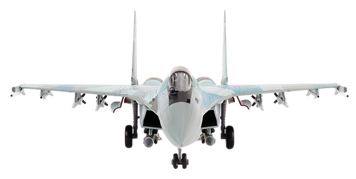 Su-35S Flanker E Blue 25, 22nd IAP, 303rd DPVO, 11th Air Army, VKS (Fuerzas aeroespaciales rusas), 1:72, Hobby Master 