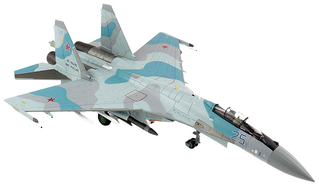 Su-35S Flanker E Blue 25, 22nd IAP, 303rd DPVO, 11th Air Army, VKS (Fuerzas aeroespaciales rusas), 1:72, Hobby Master 