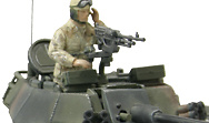 80036b.jpg 