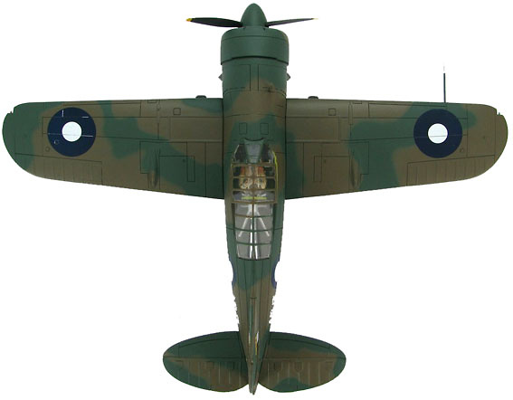 Brewster Buffalo Model 339-23 A51-13, 25 Sqn RAAF, 1:48, Hobby Master 