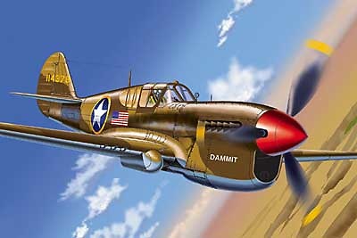 Curtiss P-40N (USAAF Dammit), Operation Torch., 1:48, Franklin Mint 