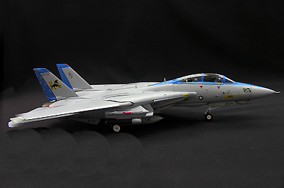 F-14, VF-213 