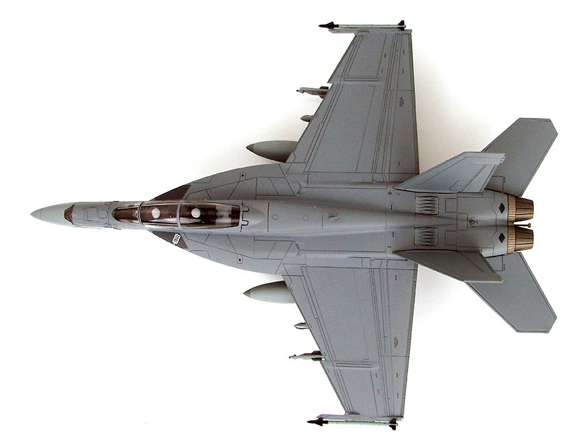 F/A-18F 