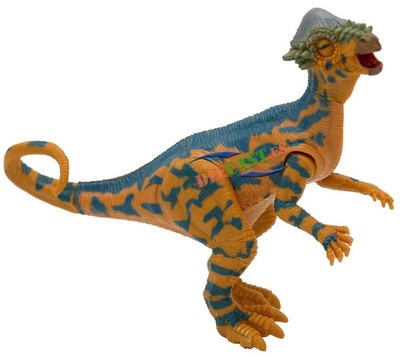 Articulated dinosaur Pachycephalosaurus